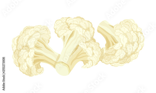 Cut cauliflower florets in a cartoon style. Vector illustration of fresh cauliflower inflorescences of various shapes isolated on a white background. Healthy vegetables.