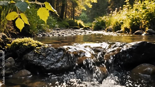 Small Stream Flowing Through Forest Landscape.