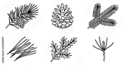 Konstfotografi Vintage pine branch and cone illustrations, hand drawn botanical conifer sketche