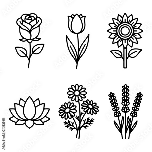 Six delicate line drawing floral icons including rose tulip sunflower lotus daisies and lavender on a white background
