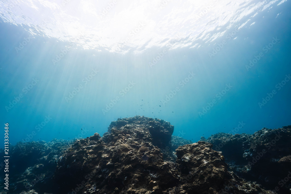 Fototapeta premium Sunbeams Filtering Through Tropical Ocean Above Coral Reef