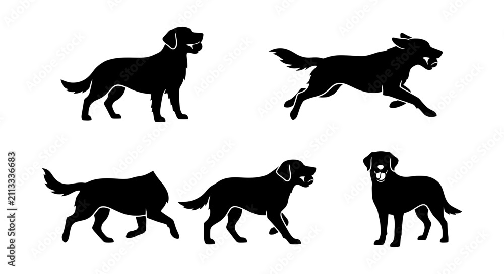 Obraz premium Labrador Retriever Dog Silhouettes, Set of 5 Poses, Black Vector Art