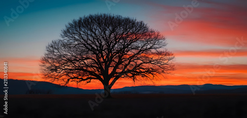 Beautiful Sunset Panorama of Rocky Lakeshore, Lone Tree and Golden Sky Reflection 4k desktop wallpaper