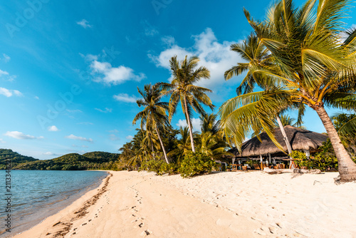 Tropical sand beach in the Philippines with palm trees as a perfect holiday getaway