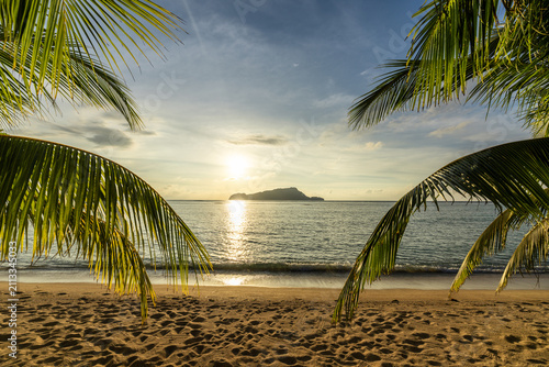 Tropical sand beach in the Philippines with palm trees as a perfect holiday getaway