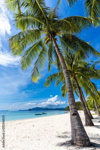 Tropical sand beach in the Philippines with palm trees as a perfect holiday getaway