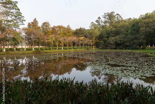 spring in the park