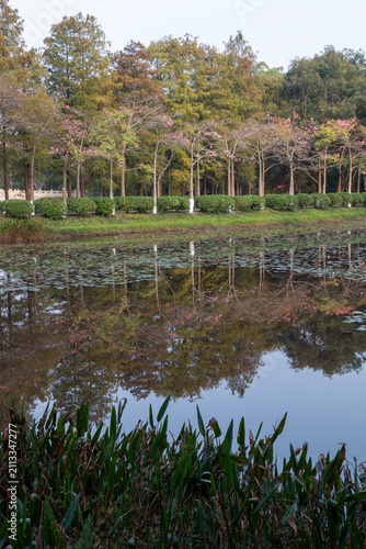 spring in the park