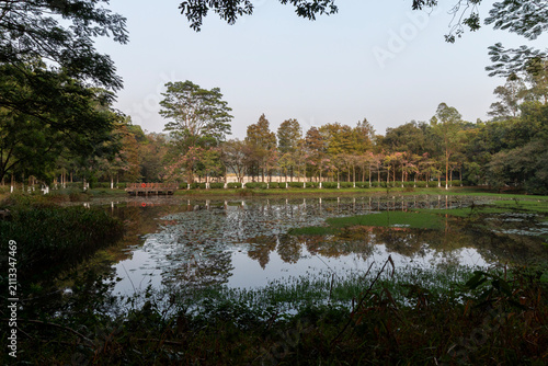 spring in the park