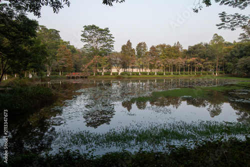 spring in the park