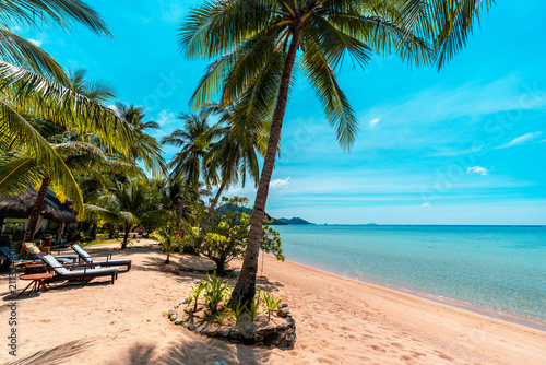 Tropical sand beach in the Philippines with palm trees as a perfect holiday getaway