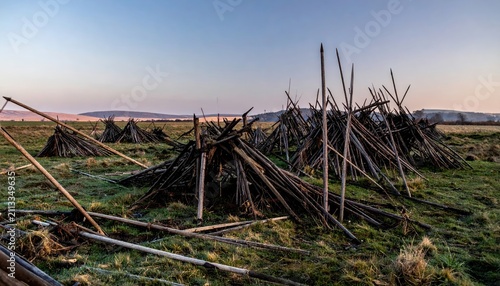 Rural landscape with teepee-shaped woodpiles in a grassy field at sunset, dry branches arranged for fuel