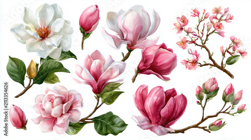 Beautiful watercolor floral collection featuring vibrant pink and elegant white magnolia blossoms, delicate cherry tree branches with blooming flowers, and various stages of buds and leaves, perfect