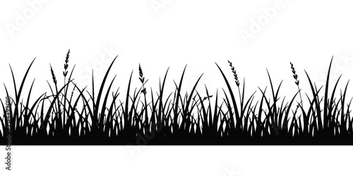 Dense wild grass meadow silhouette for horizontal banner design
