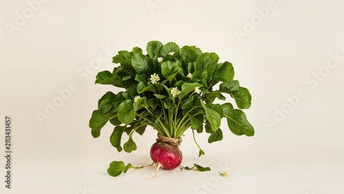 A radish with green leafy top and small white flowers, placed on a plain background.