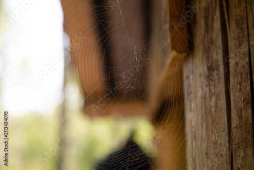 A spider web on the corner of a house on the street