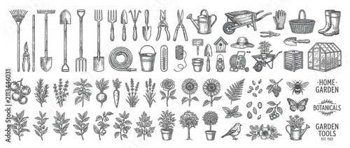 Vintage Botanical Garden Tools and Plants Collection