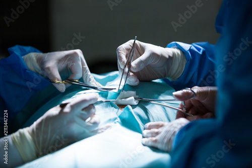 Canvastavla Surgical Team Performing Operation in Operating Room During Medical Procedure