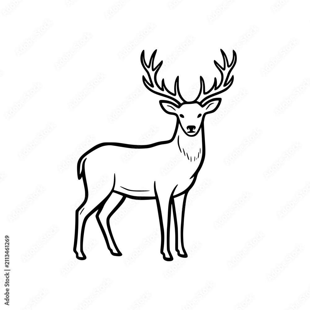 Fototapeta premium Majestic deer standing in profile view.