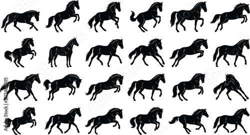 Foto Horse Silhouette Collection with Running Galloping and Rearing Equine Vector Pos