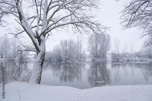Принти на полотні Snow-covered trees on the bank of a winter river