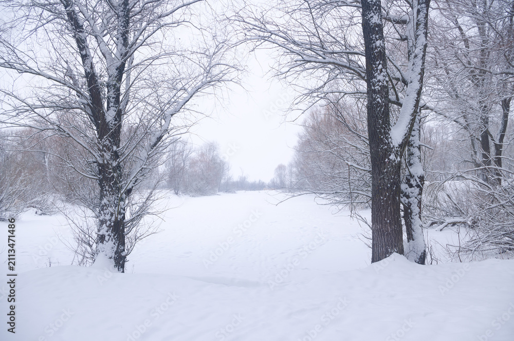 Fototapeta premium A winter landscape on a cloudy day.