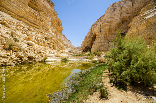 Картината върху платно A pool of rain water from winter rains remains in steep canyon known as Wadi Ein