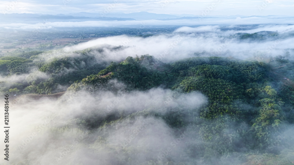 Obraz premium Aerial view of mountains and forest on cloudy morning by drone