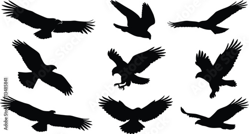Flying Eagle Silhouettes Set Featuring Soaring Hawk Falcon Diving and Gliding Bird of Prey Poses