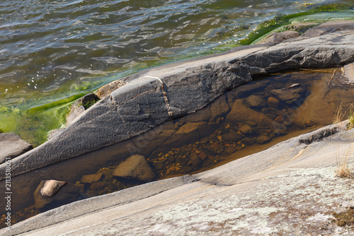 Close-up of a granite shoreline crevice with algae bloom along the waterline and a tide pool below.