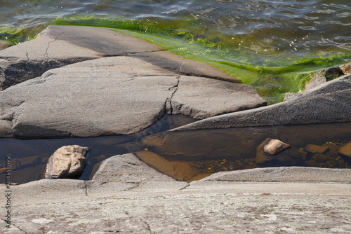 Weathered granite rock crevice with a narrow tide pool and green algae along the shoreline.