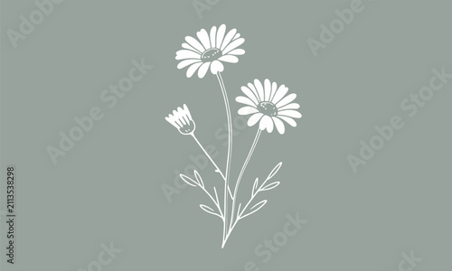 Minimalist hand-drawn outline of daisy flowers and leaves over a solid grey-green background for modern wallpaper design.
