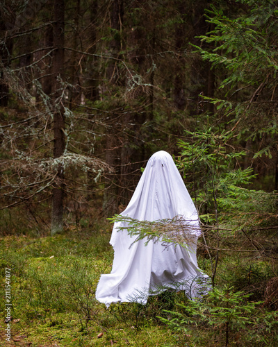 Fotografie Person in white sheet standing in forest as ghost