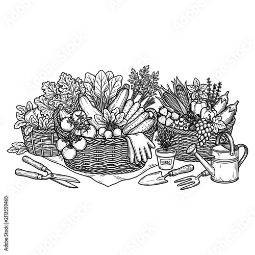 Baskets with abundant fresh garden harvest of vegetables fruits herbs and berries, gardening tools watering can and gloves, black and white engraved style line art vector illustration