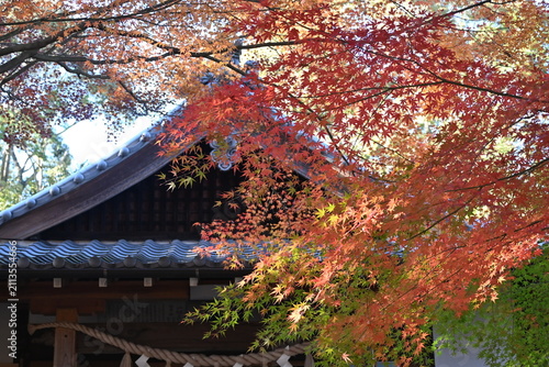 神社の屋根を覆う見事な秋の紅葉