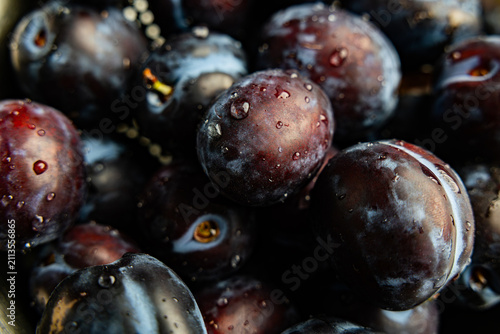 Close up view of fresh ripe purple plums with water drops