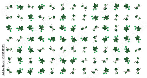 Photos green ivy leaves pattern with scattered leaves and white background natural elem