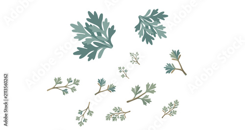 Canvastavla green sage leaves illustration simple botanical design isolated white background
