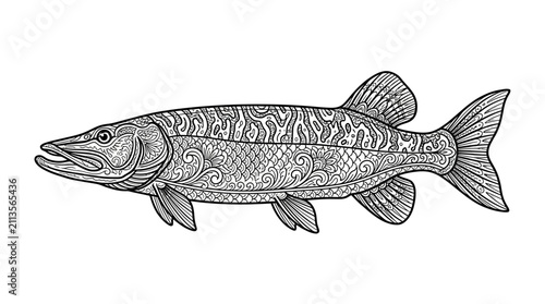 Принти на полотні Northern pike fish line drawing with scale patterns.