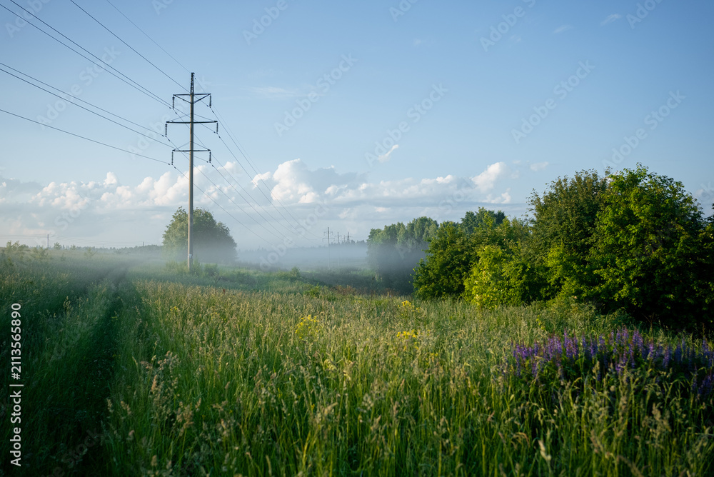 Obraz premium Power line crossing a foggy green meadow with vibrant grass and summer trees under a clear blue sky, illustrating rural infrastructure and natural landscape at dawn