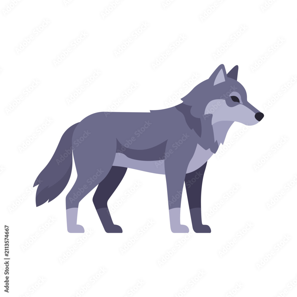 Obraz premium Gray wolf, side view, colorful vector icon