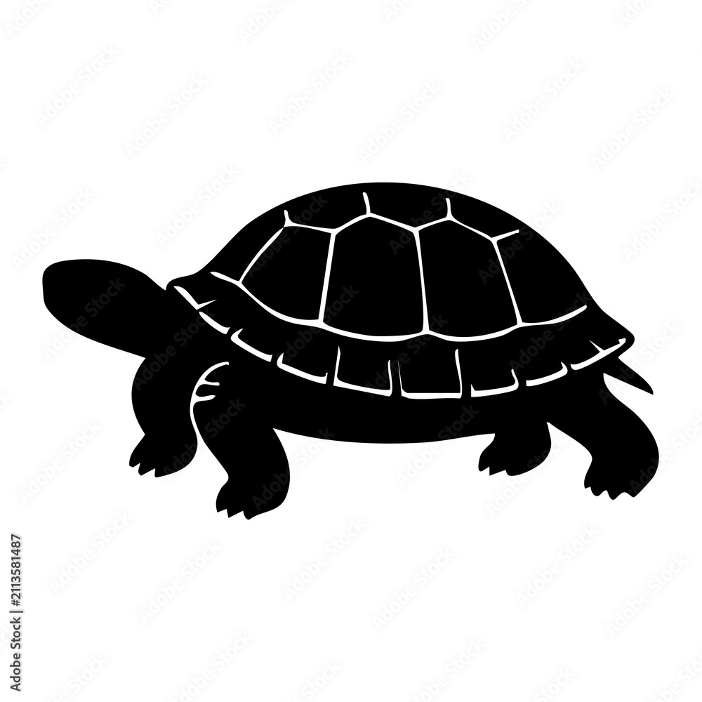 Fototapeta premium Turtle vector silhouette
