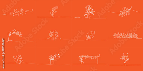 Set of Botanical Plants and Flowers Continuous Line Art