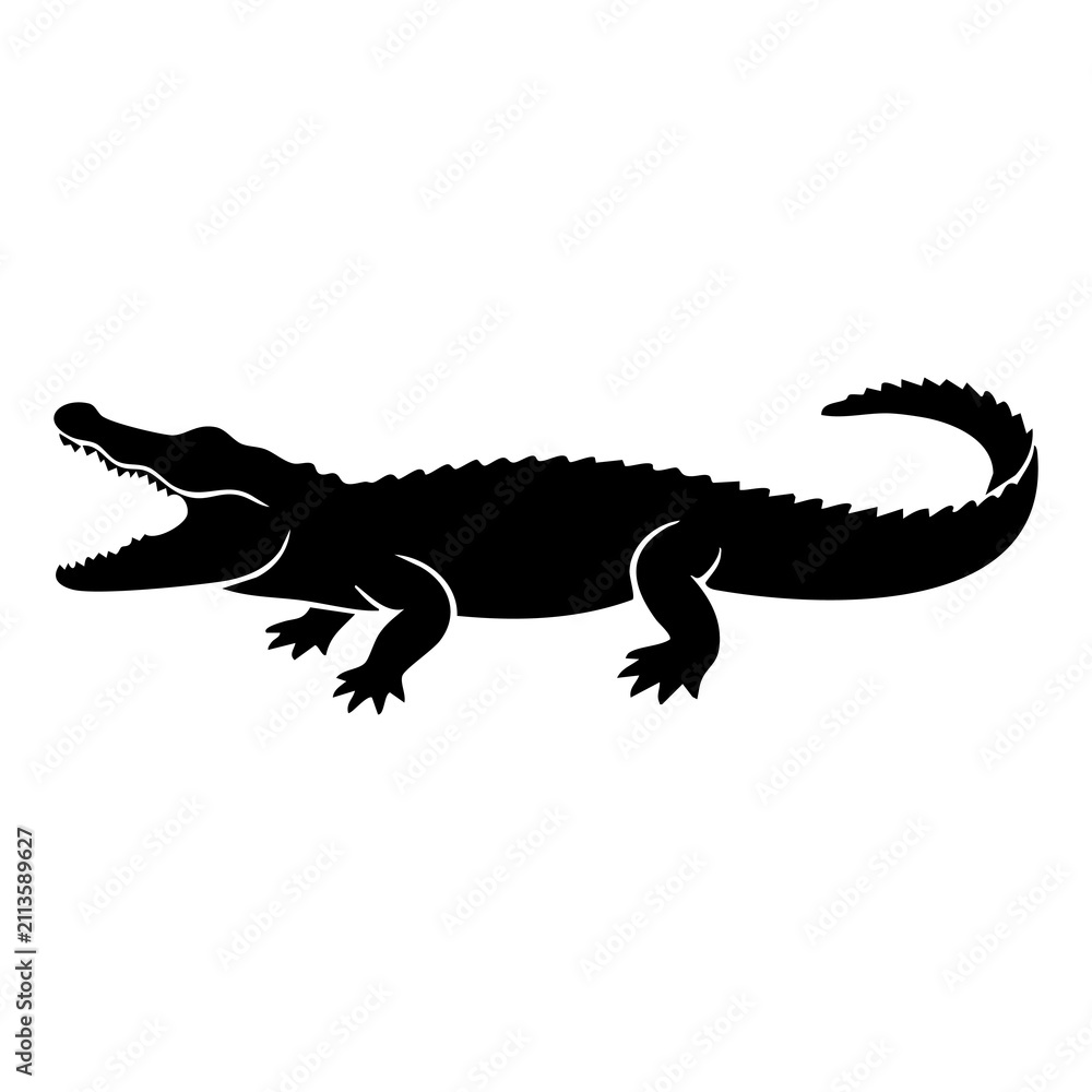 Fototapeta premium Crocodile vector silhouette