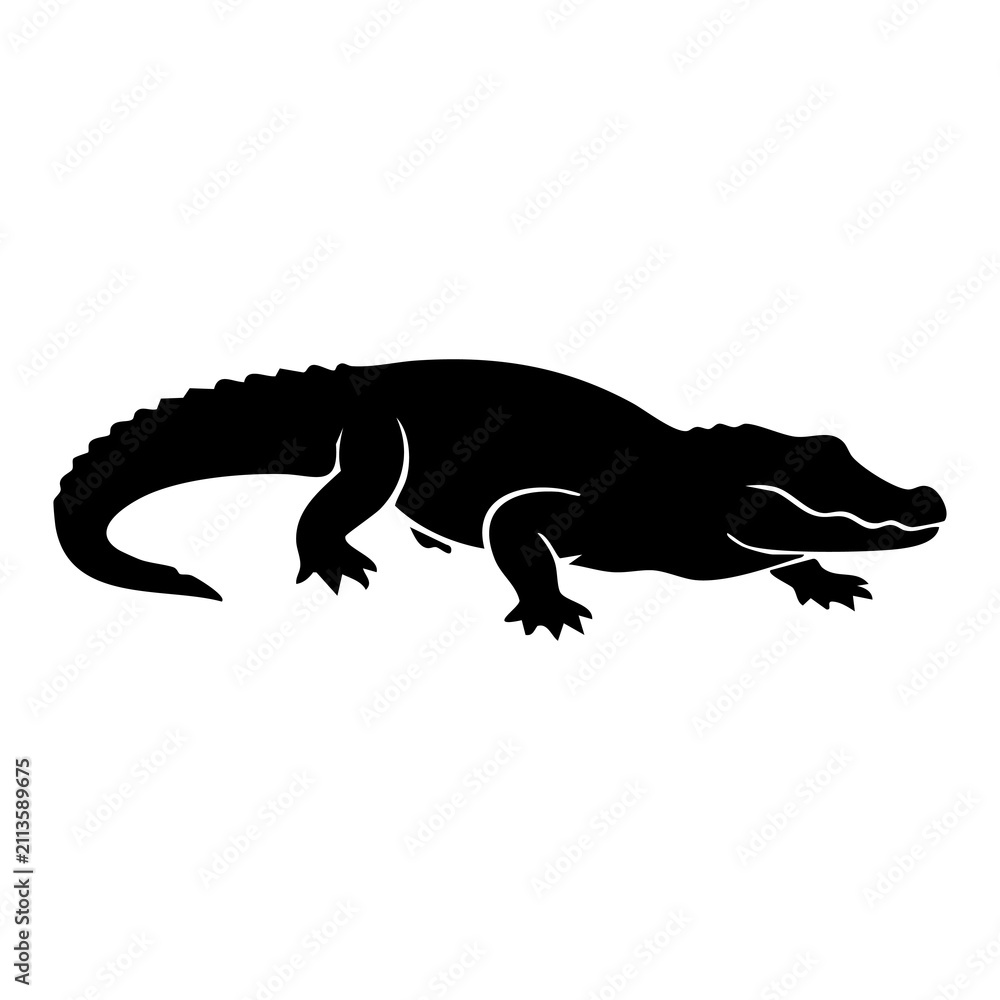 Fototapeta premium Crocodile vector silhouette