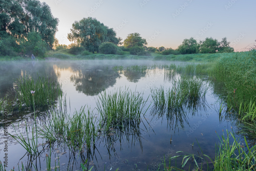 Obraz premium A serene mist hovers over a calm river at sunrise, reflecting lush green trees and tall reeds in the quiet water.