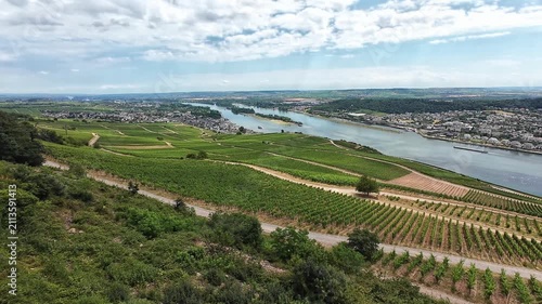 Aerial summer view of German Rhine vineyards stretching across green hills and river valley landscapes