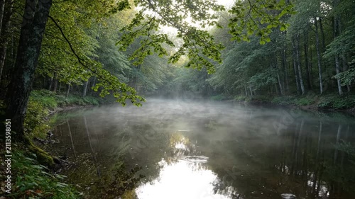 Misty Forest River Morning - Serene Nature Landscape with Fog