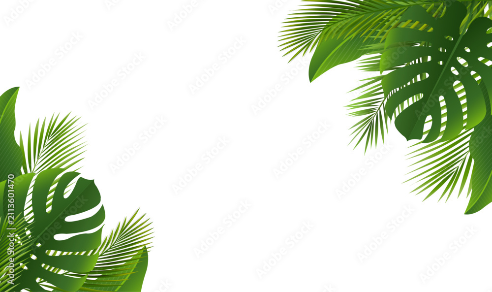 Obraz premium Green Palm Tree Branch Frame White Background