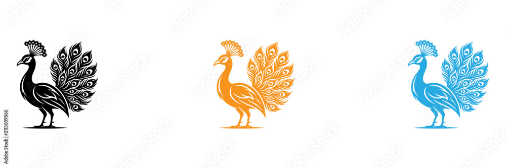 Obraz premium Three stylized peacock icons in different colors isolated on transparent background, Vector